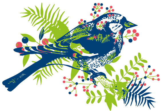 Fink Vogel